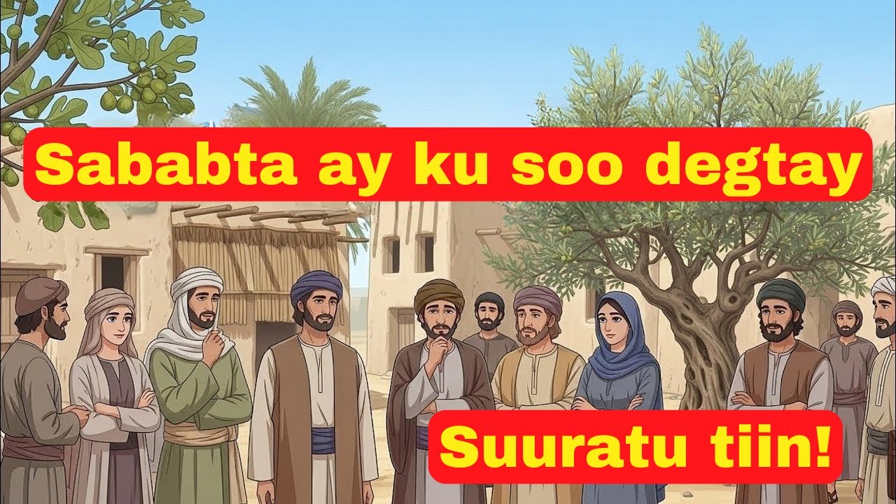 sababta ay ku soo degtay suuratu tiin? muxuu Alle SW ugu dhaartay tiinka iyo seytuunka?