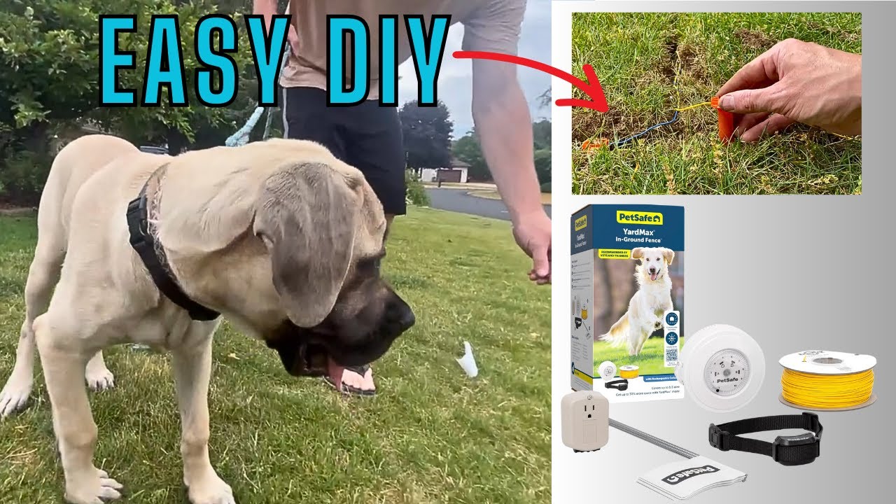 STEP-BY-STEP How to Install an Invisible Dog Fence (Petsafe Yardmax System)