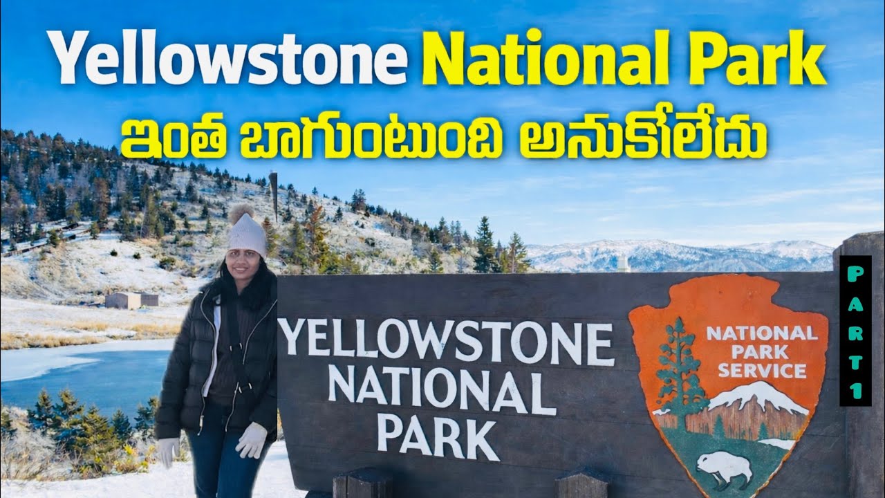 Yellowstone National Park Tour 🇺🇸 | America Wonders లో అద్భుతమైన ప్రదేశం|#travelvlog 