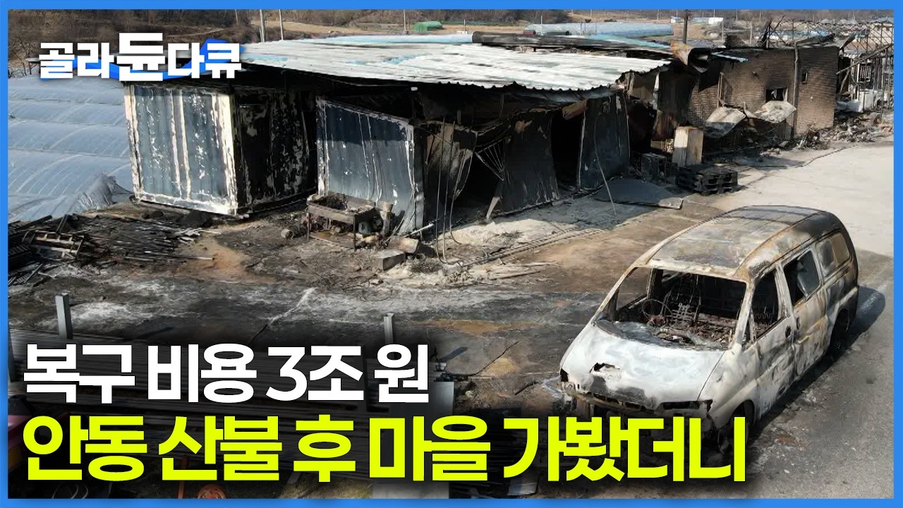 사상 최악의 영남권 산불 피해, 1,200도 열기 속에서 산불에 맞선 진화대원들의 목숨 건 사투｜극한직업｜#골라듄다큐