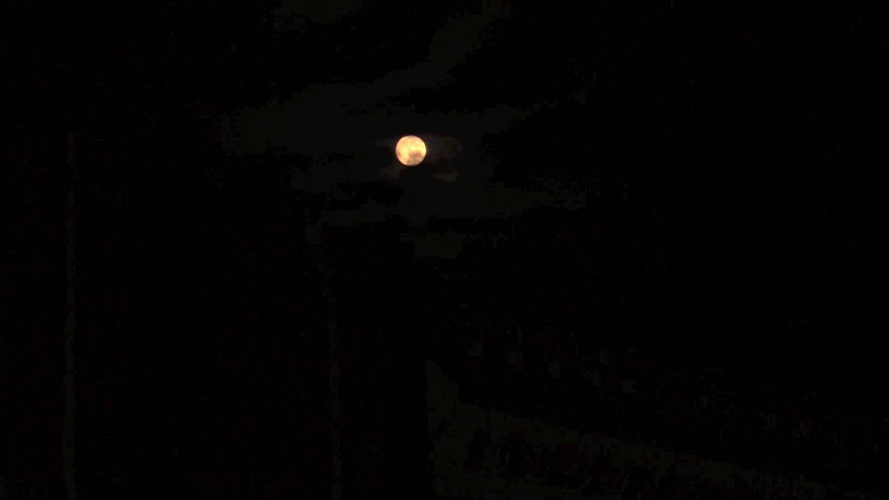 Supermoon @ Sweetcorn Festival CU Folk & Roots stage- Friday 2015