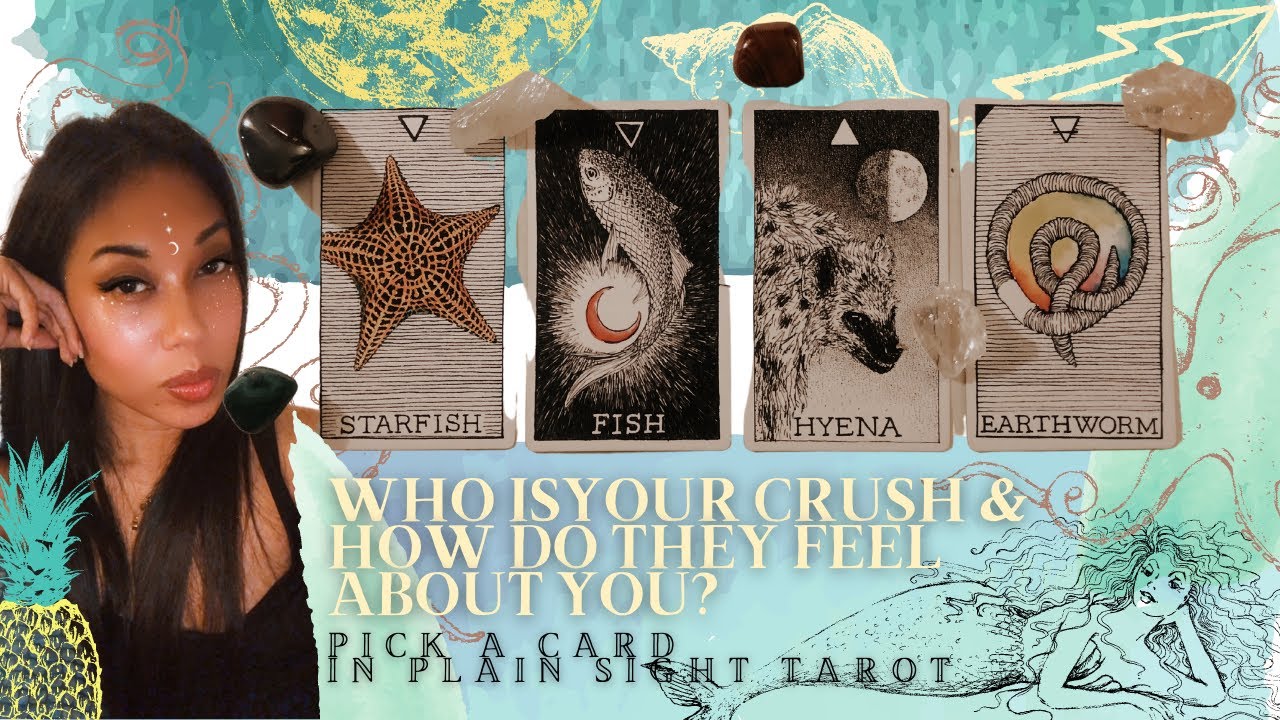 PICK A CARD: 💕🔮 Who Is Your Crush? How Do They Feel About You? 🔮💕... What Makes You Attractive?