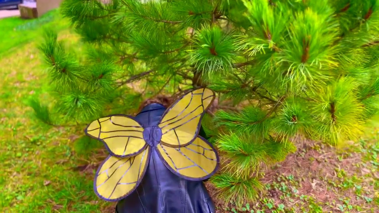 The Monarch Mission