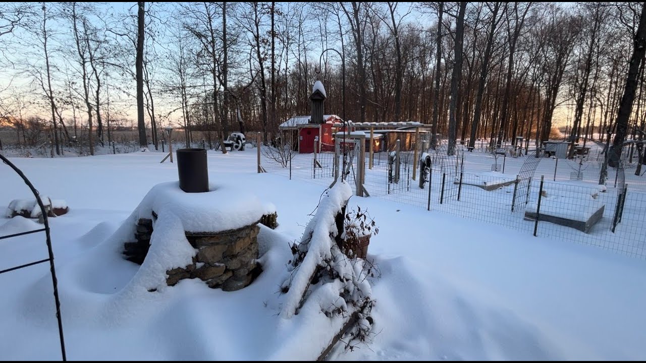 A Frigid Day on the Homestead.  Can You Feel It?
