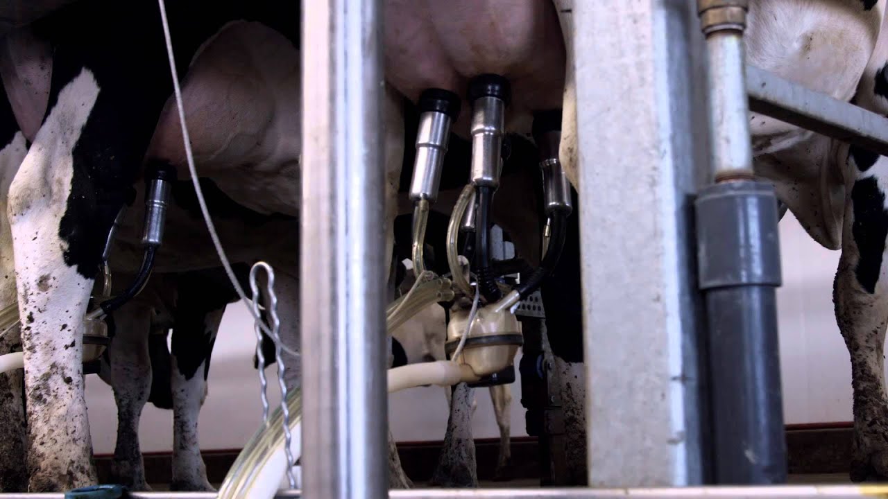 Xcalibur 90LX, Parallel Stall System (English)