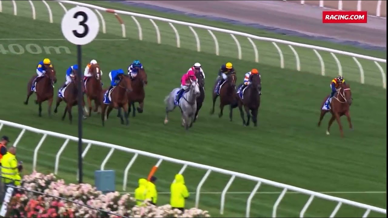 Bivouac winning the Group 1 Darley Sprint at Flemington