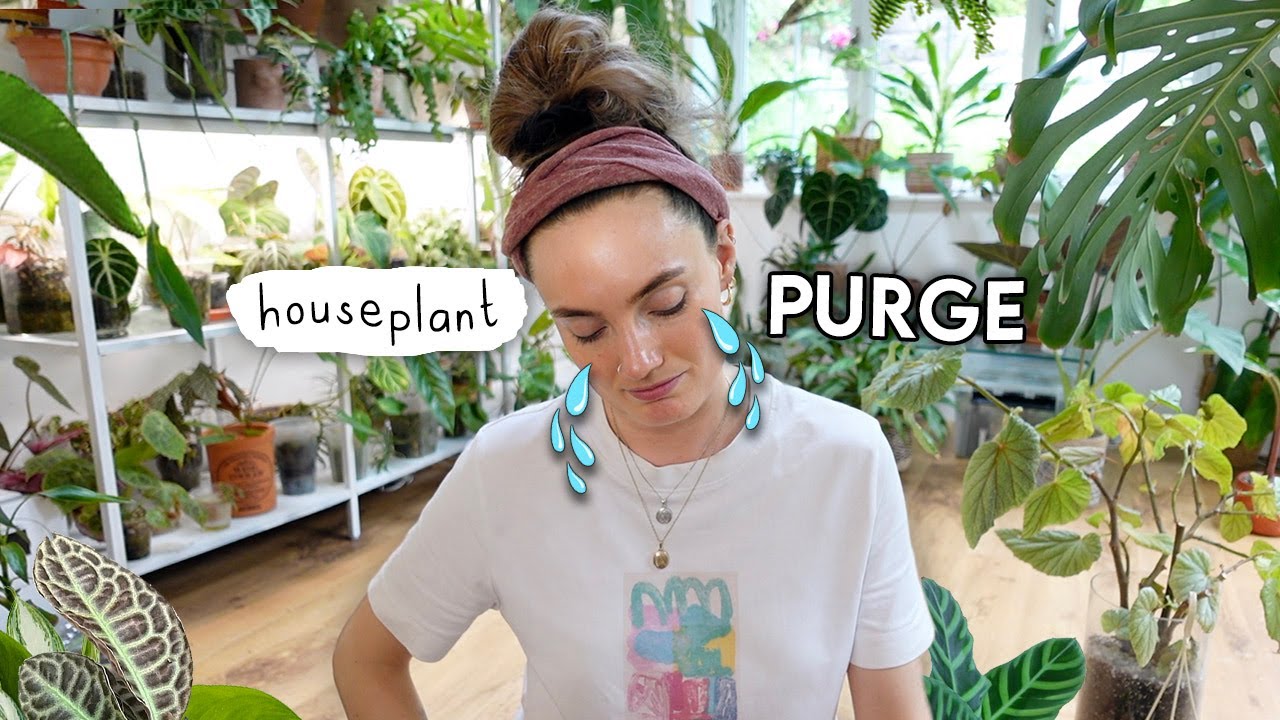 Clearing Out + Getting Rid of Plants 🌿