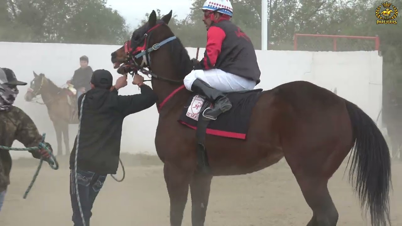 LA RORA vs el parrandero rio verde race track
