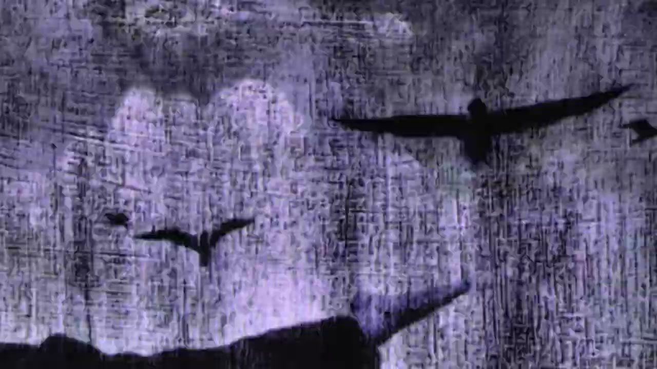 Flawed Mangoes - Missing Pieces (Slowed) [Visualizer]