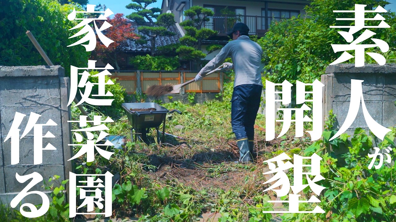 ジャングルみたいな荒地を購入。素人が開拓、1万円で買った家に家庭菜園を作る。【1万円で買ったゴミらだけの家】