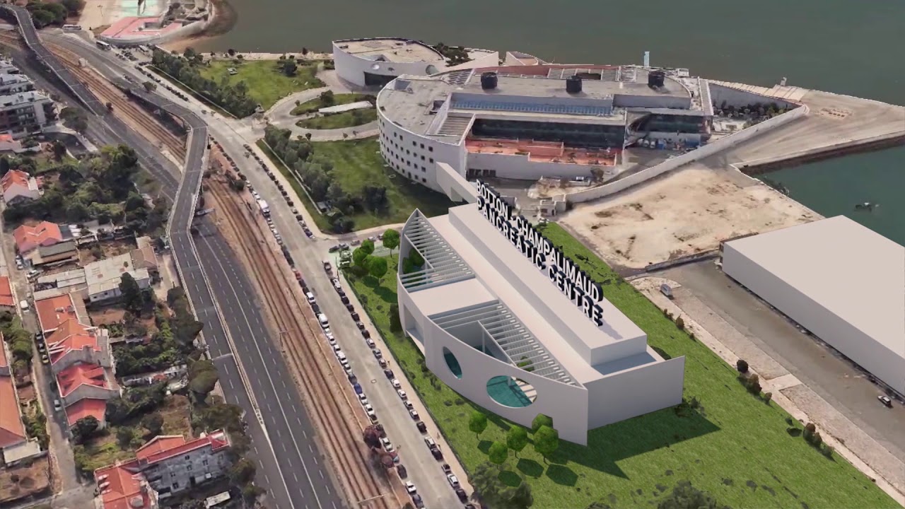 Botton-Champalimaud Pancreatic Centre