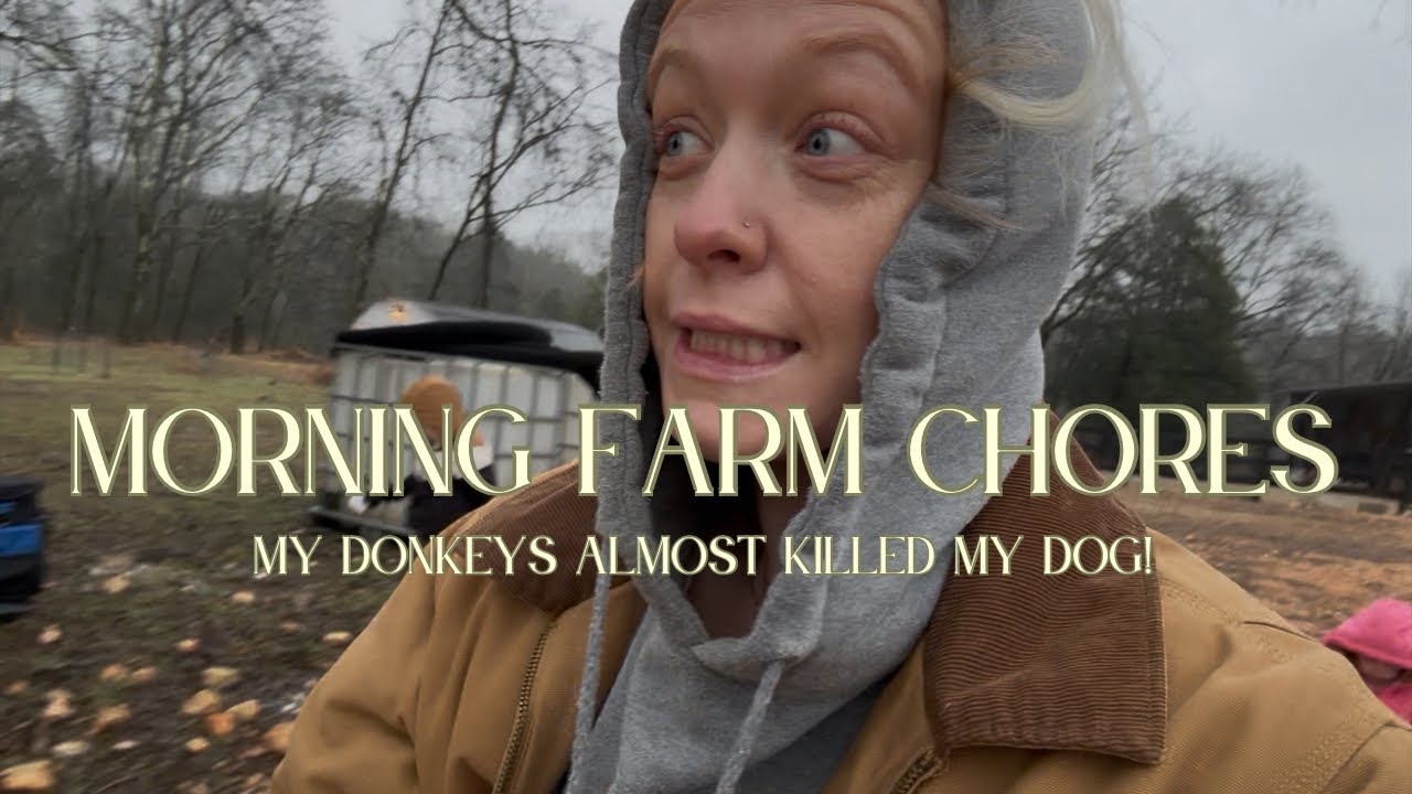 Morning chores routine with the kids on our hobby farm! 
