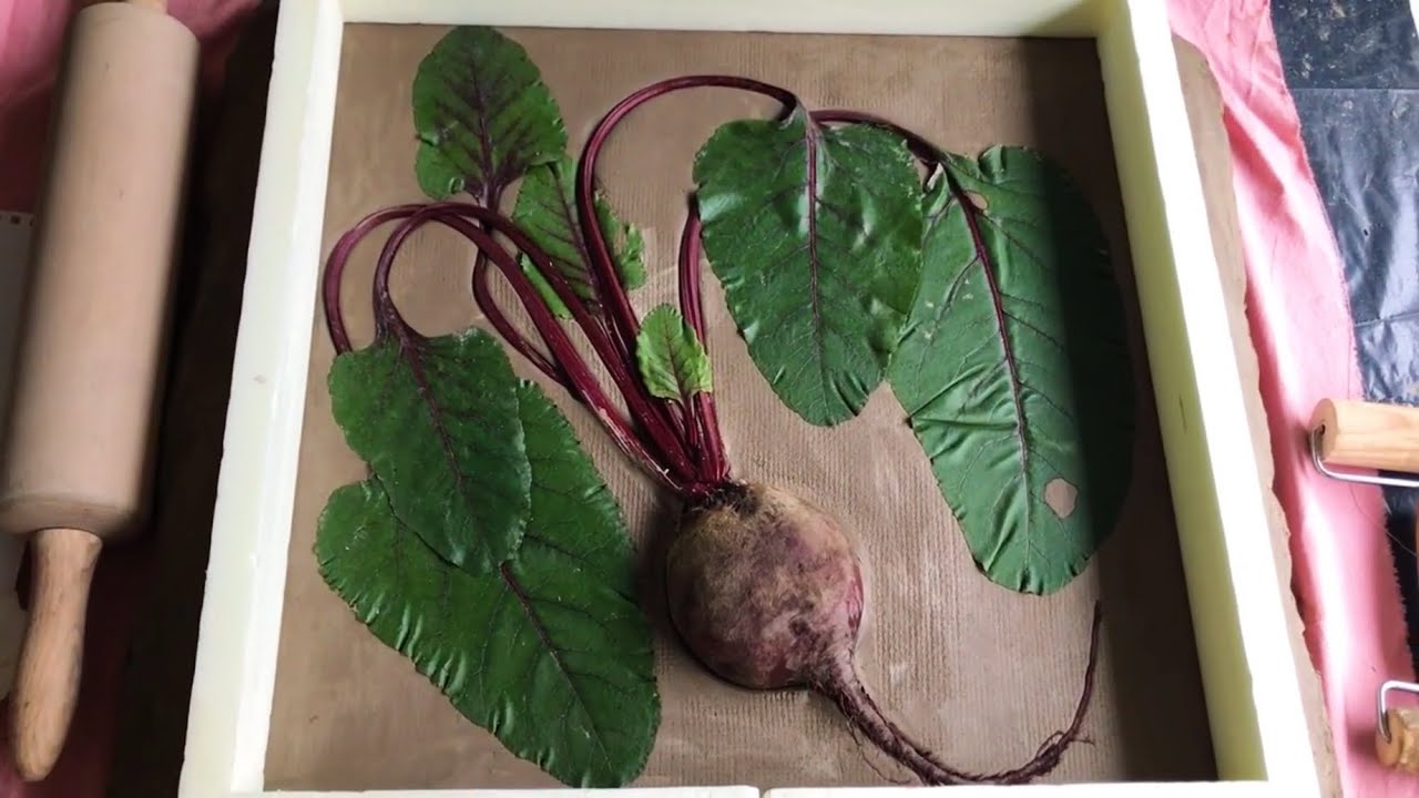 Creating Botanical Bas-Relief from Beetroot | Unique DIY Wall Art