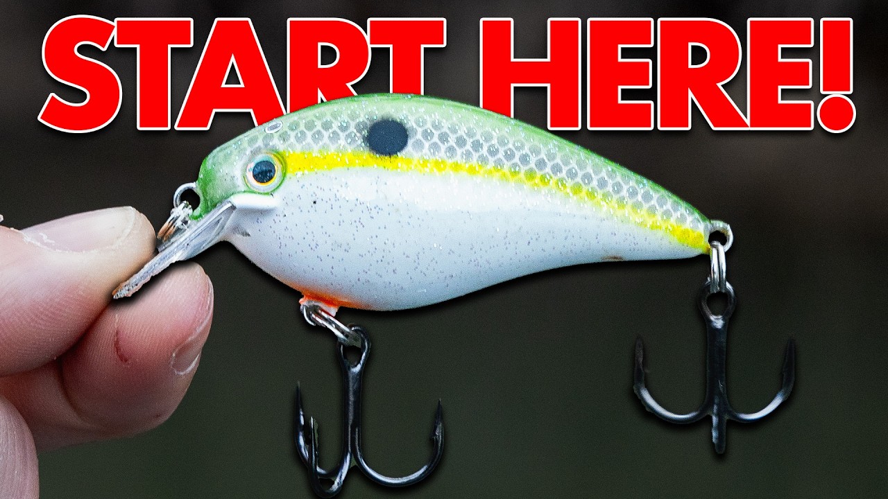 How I'd Learn to Fish a Crankbait(If I Could Start Over)