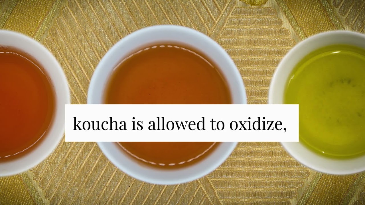 What is Wa-Koucha?