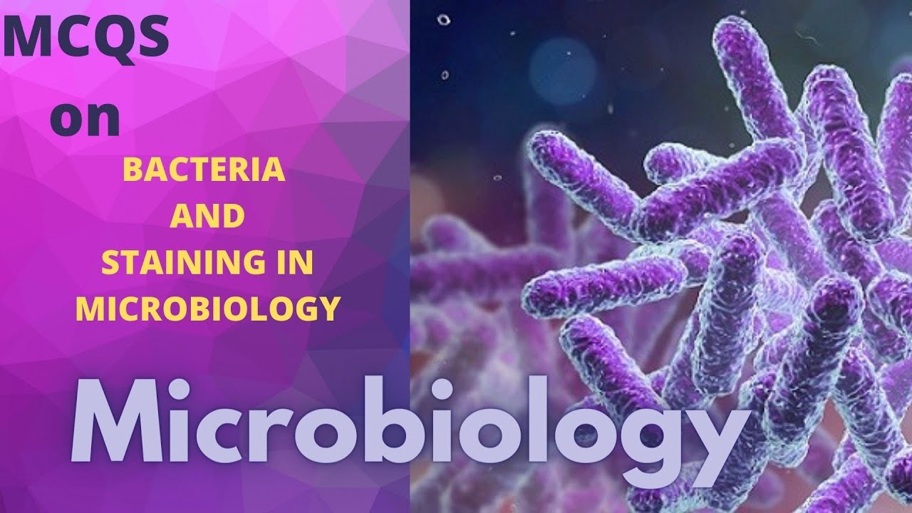 MCQs on Basic Microbiology | Part 2 | Bacteria and Staining | Dentophile