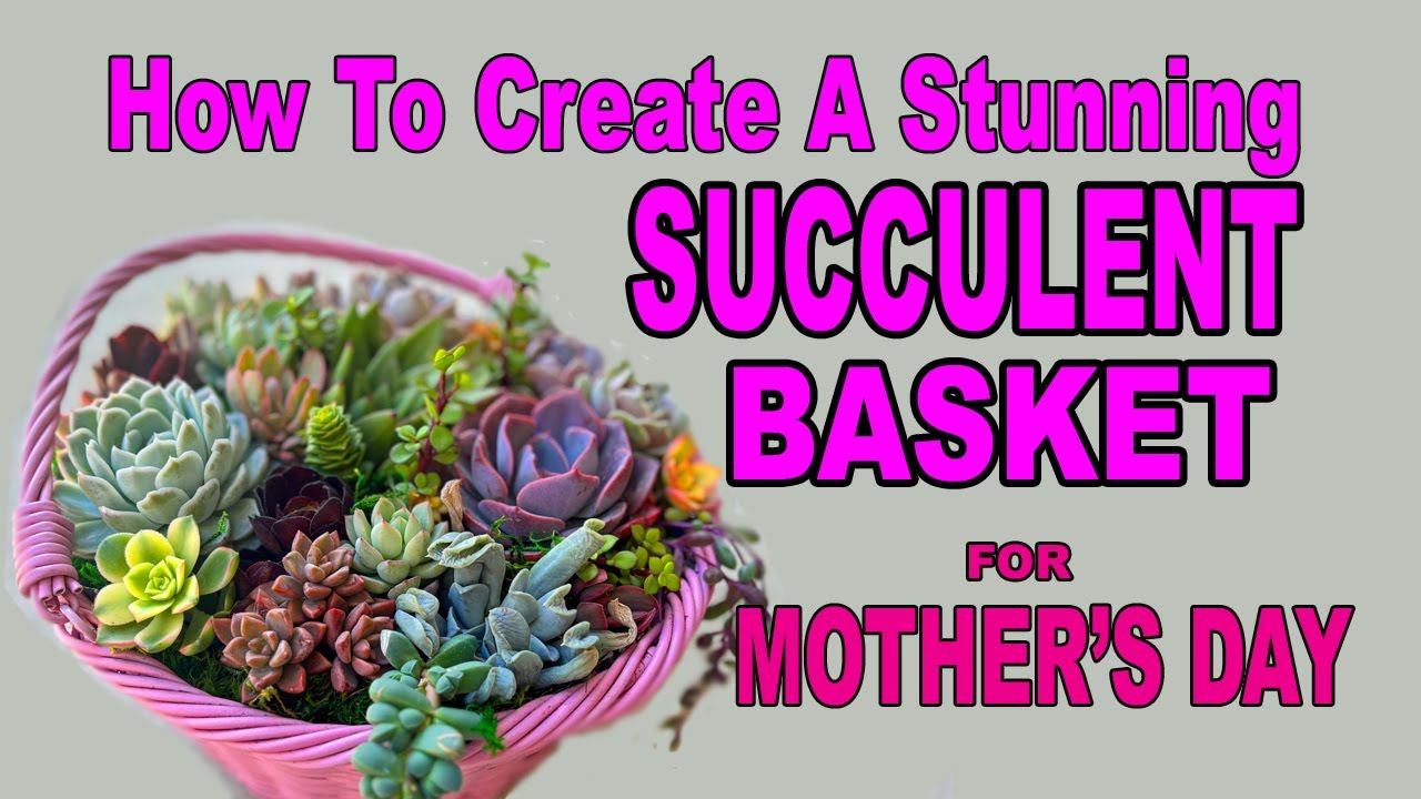 How to Create a Stunning Succulent Basket That Mom Will Love (Better Than Flowers!)