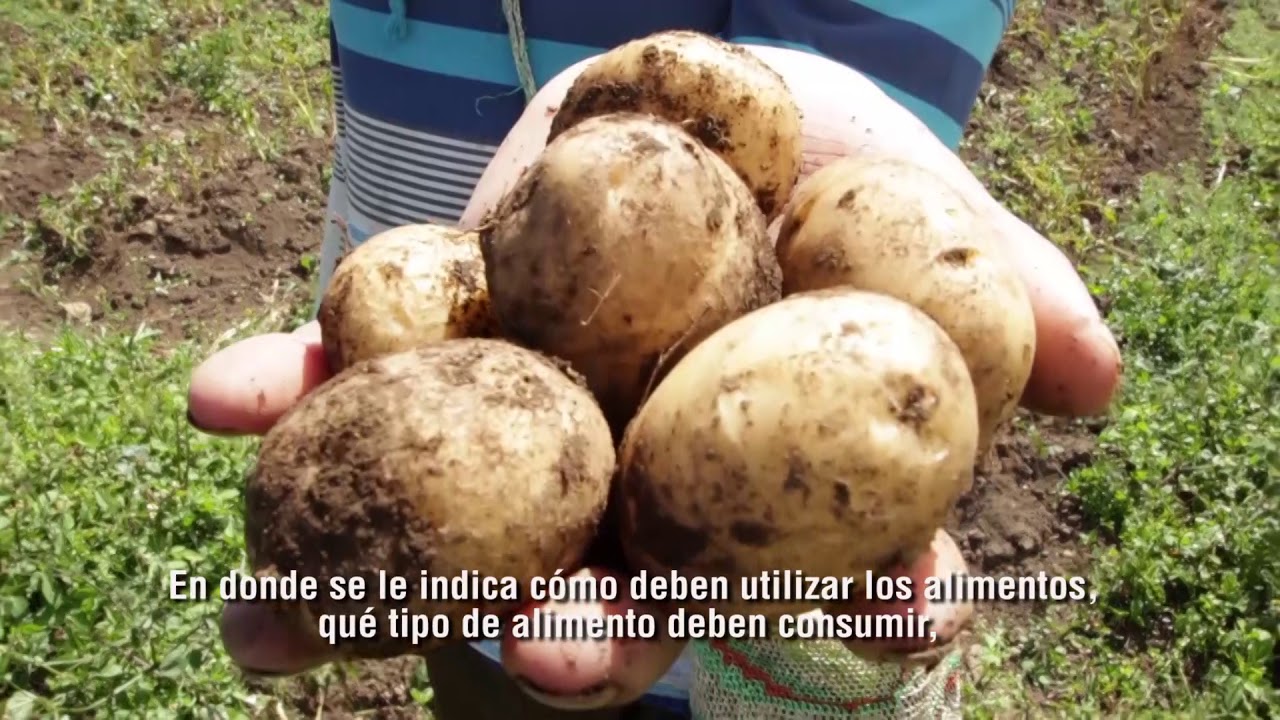 &iquest;Qu&eacute; es la Educaci&oacute;n Alimentaria?