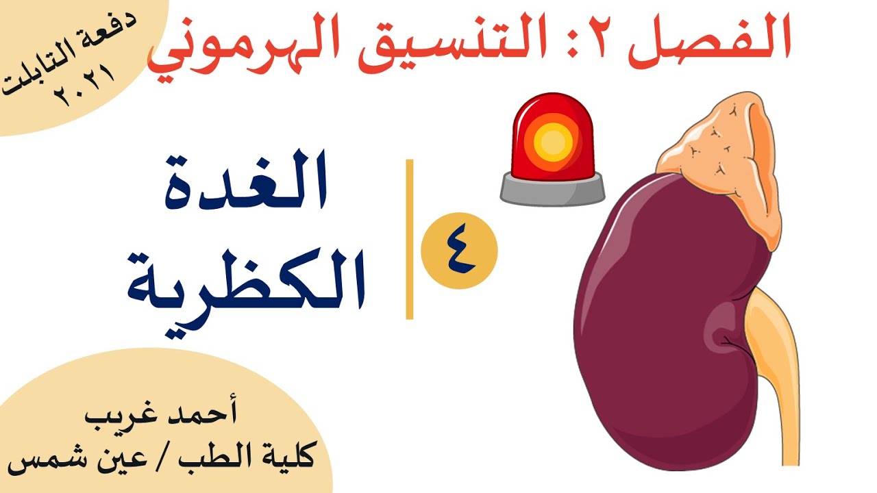 احياء 3 ث النظام الجديد - التنسيق الهرموني: شرح الغدة الكظرية (القشرة + النخاع)