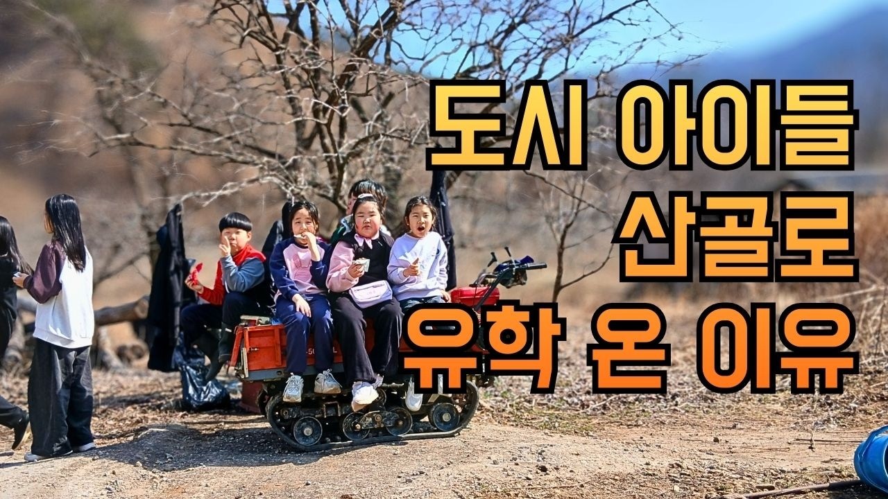 아이 표정이 달라졌어요! 월 60만 원 지원받는 '산골 유학' 한 달 살아본 리얼 후기 #충북도민PD 1st.