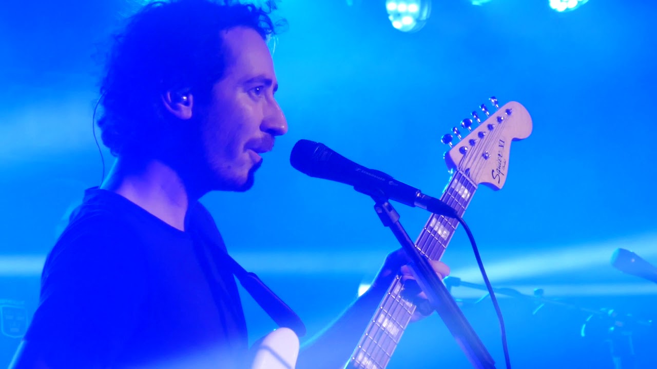 The Gardener and the Tree - Young & Bold - Frankfurt Zoom 2020-02-14
