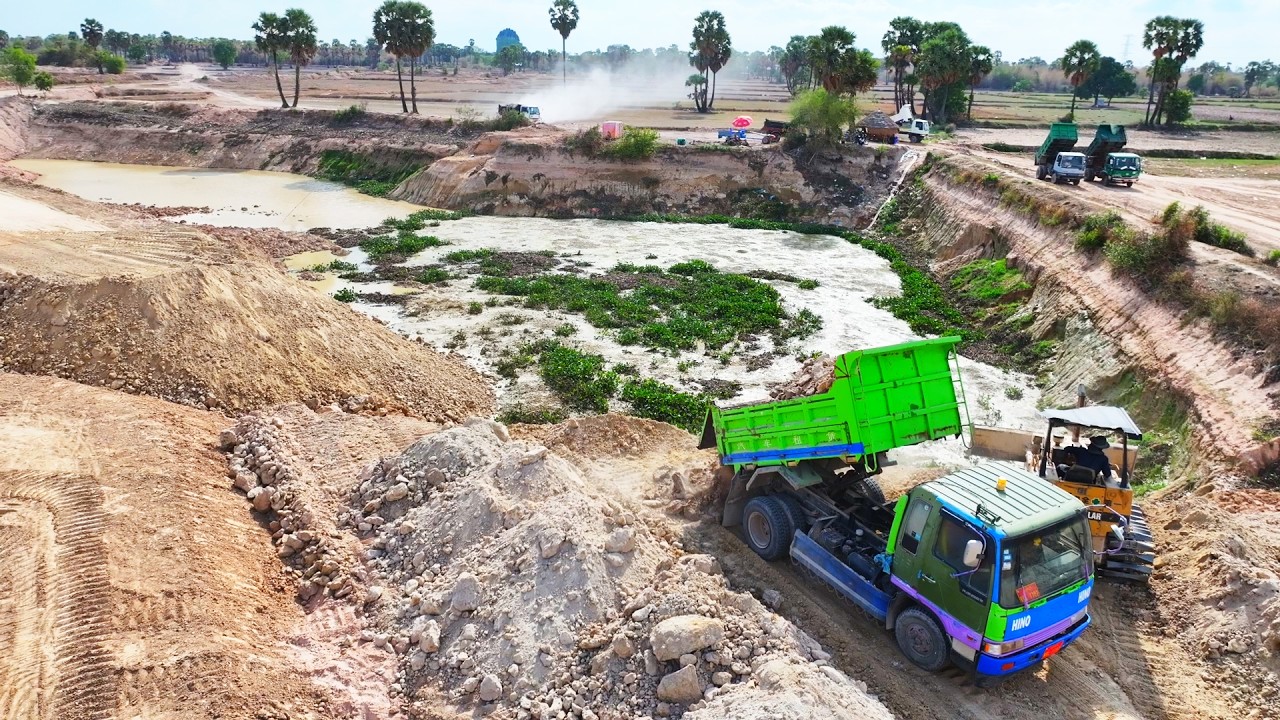Amazing Land Clearing! Komatsu D31PX Bulldozer Power