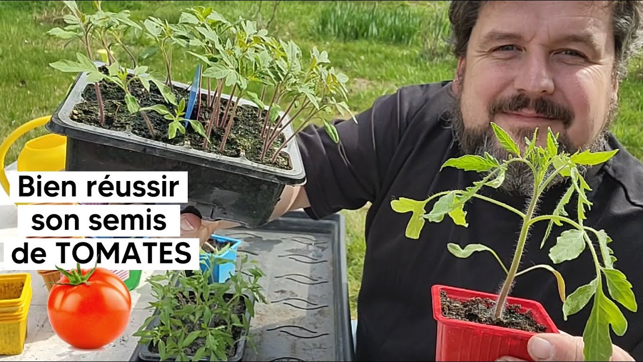 Comment réussir son semis de TOMATES 🍅 (puis le repiquage) 『TUTO』