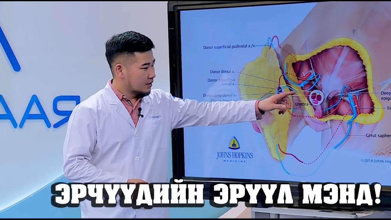 Шодойн хөвчрөлийн хямрал