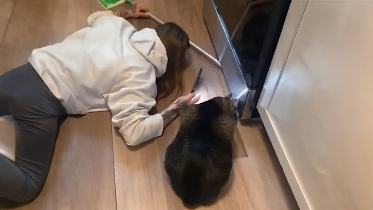 When cats doing things better than you!