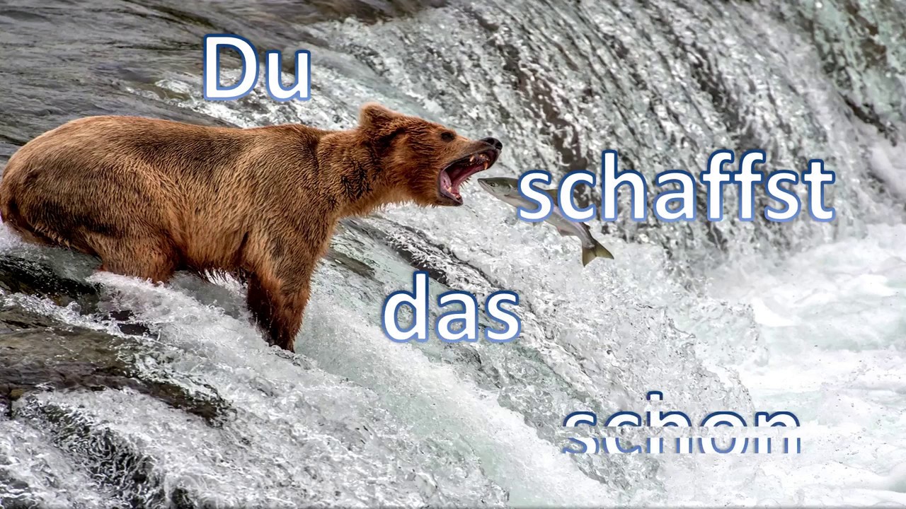 Du schaffst das schon - Wilhelm Bröslmeyr - (Klubbb3) - Panflöte  - Pan Flute - Flauta de Pan