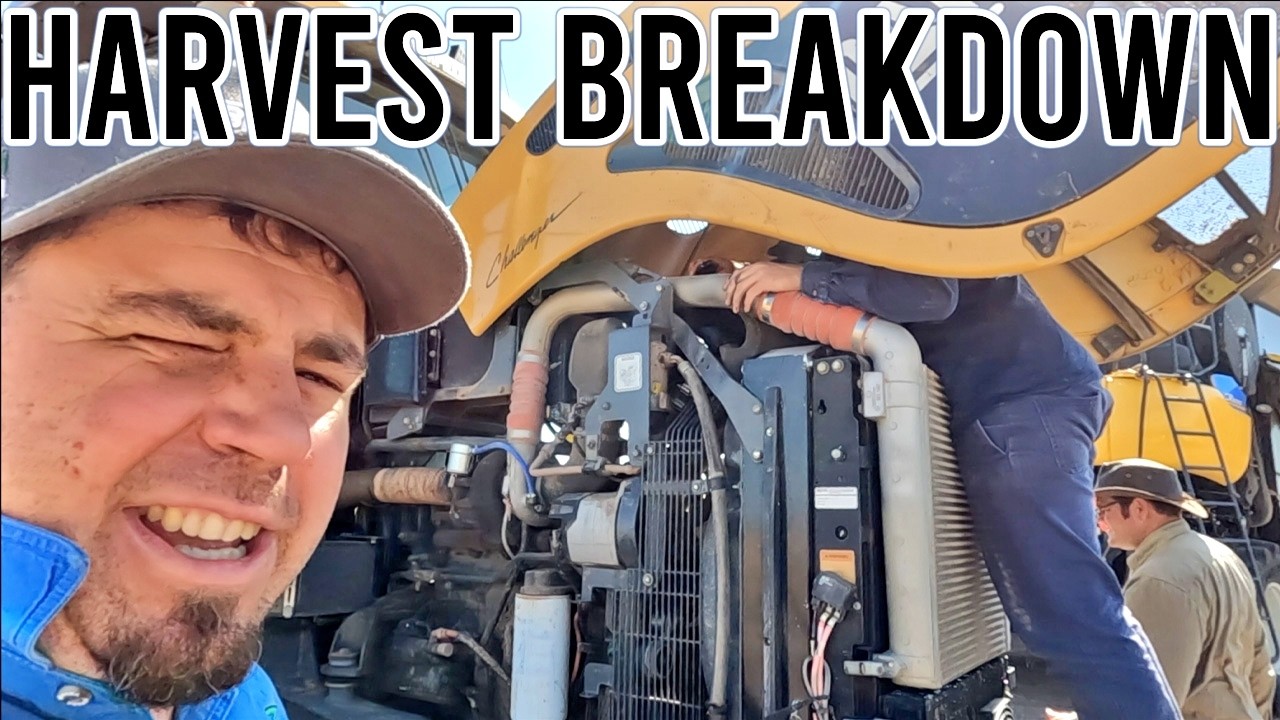 We Found the Problem! | Sorghum Harvest Pt 3 | Vlog 465