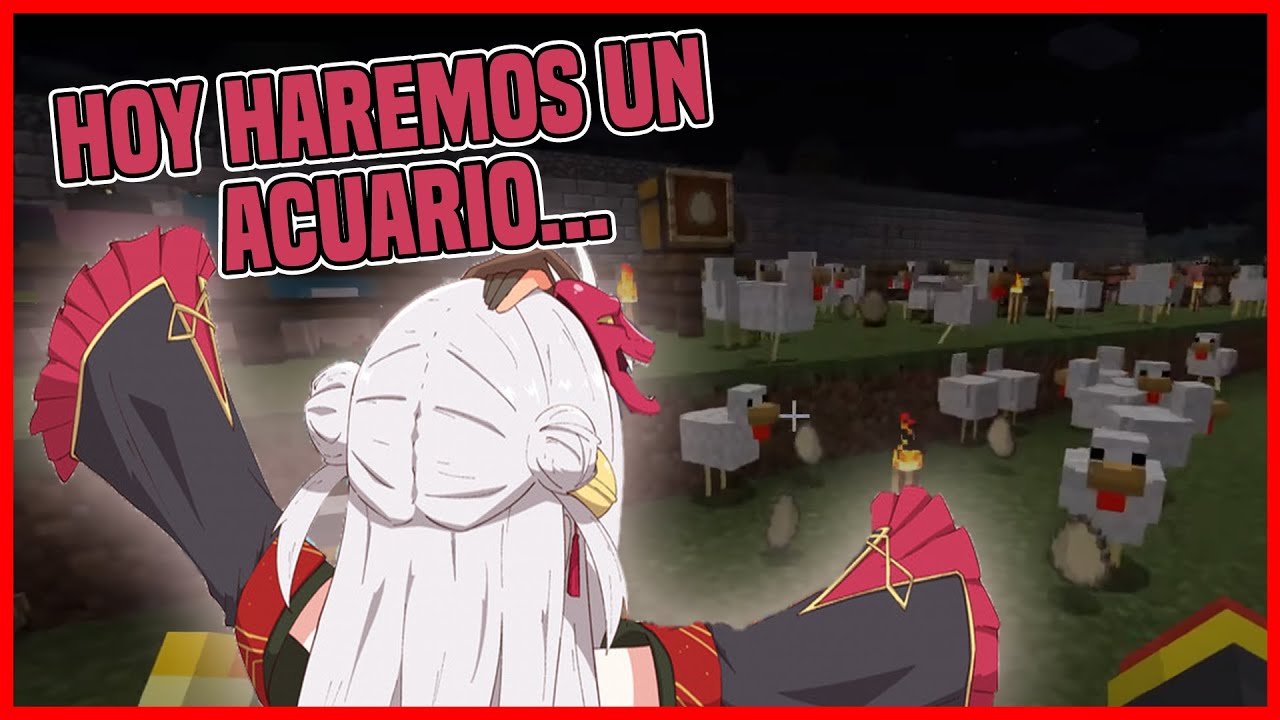 Pollos escapan y 