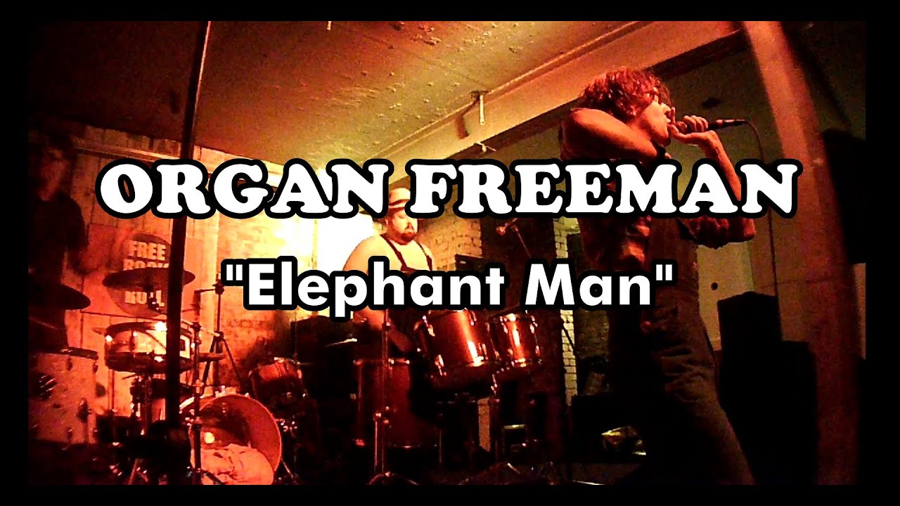 Organ Freeman - 