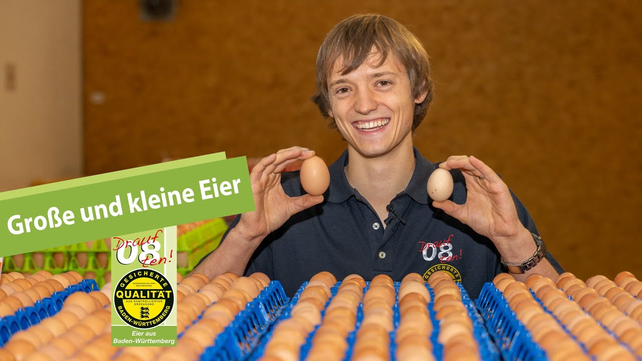 Große und kleine Eier: Welche sind besonders lecker?