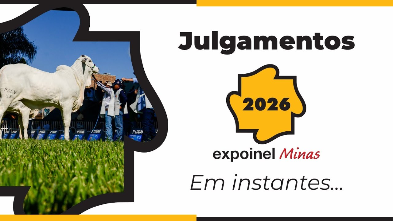 EXPOINEL MINAS 2026 - JULGAMENTOS (SEXTA-FEIRA)
