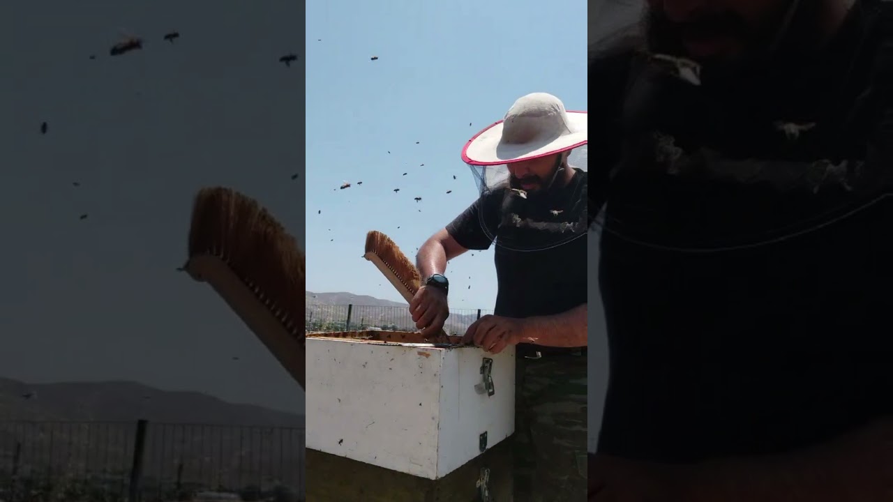 Πύργοι στα θυμάρια σε μια δύσκολη χρονιά!