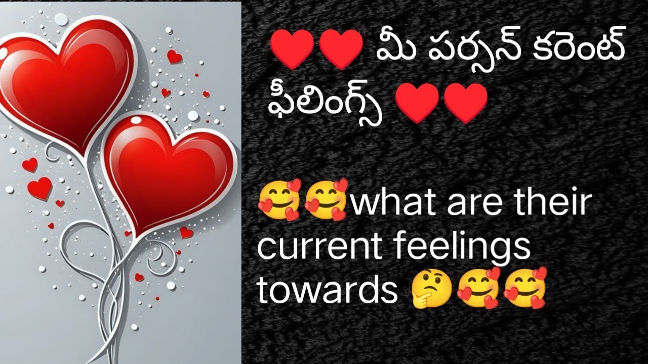 ❤️❤️  what are their current feelings towards you? 🥰❤️ మీ పర్సన్ కరెంటు ఫీలింగ్స్ ఏంటి మీ మీద? 🥰🥰❤️