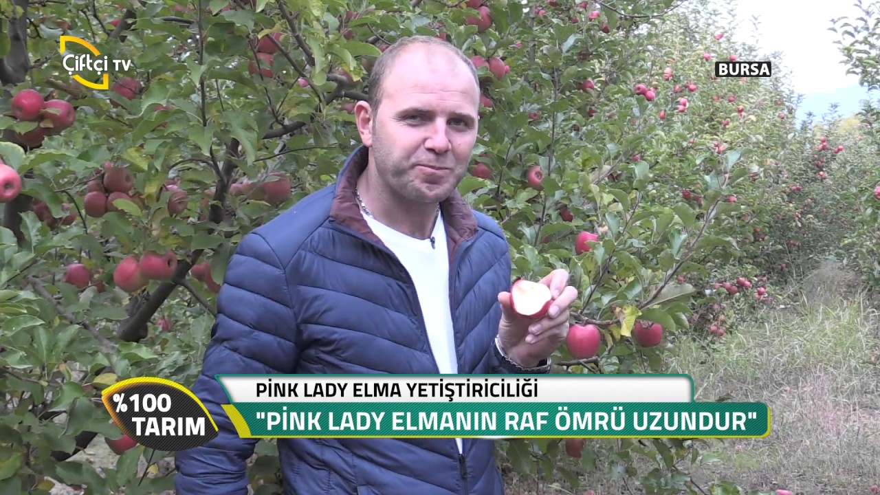 %100 Tarım-Pink Lady Elma Yetiştiriciliği...