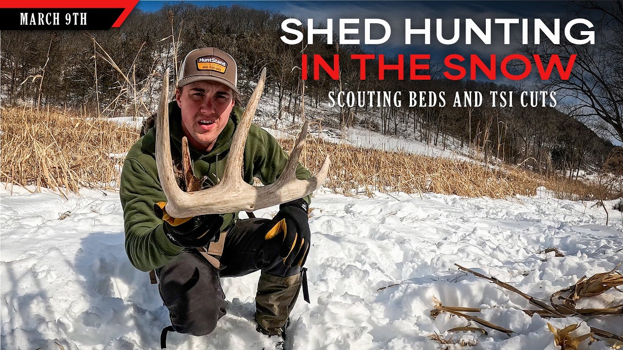 Shed Hunting in the Snow - Scouting Beds and TSI Cuts | Bowhunting Whitetails w/ Bill Winke