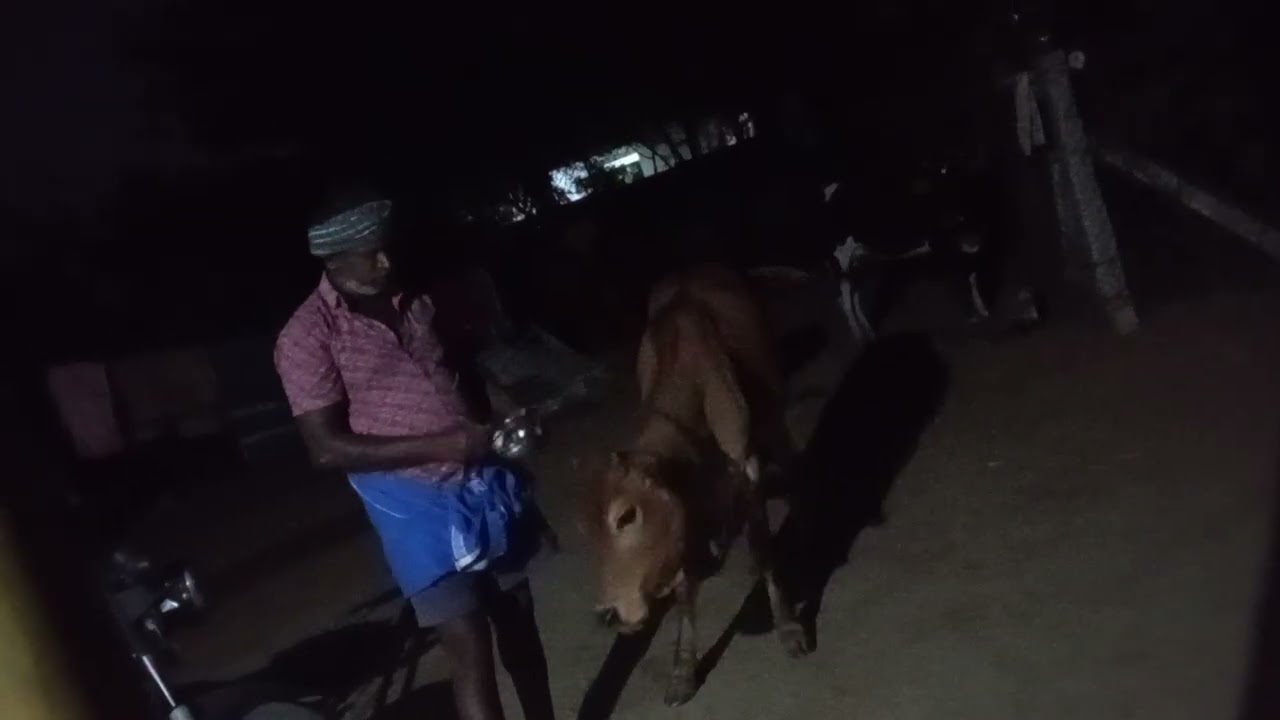 பிள்ளைக்குதிணி🥹🥹🥹