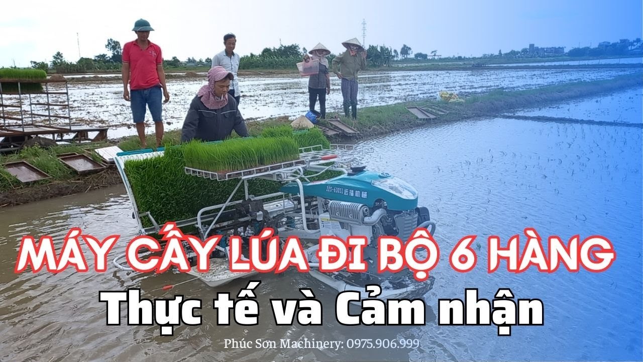 Máy cấy lúa đi bộ 6 hàng. Một ngày cấy được 2ha. Có nên đầu tư?