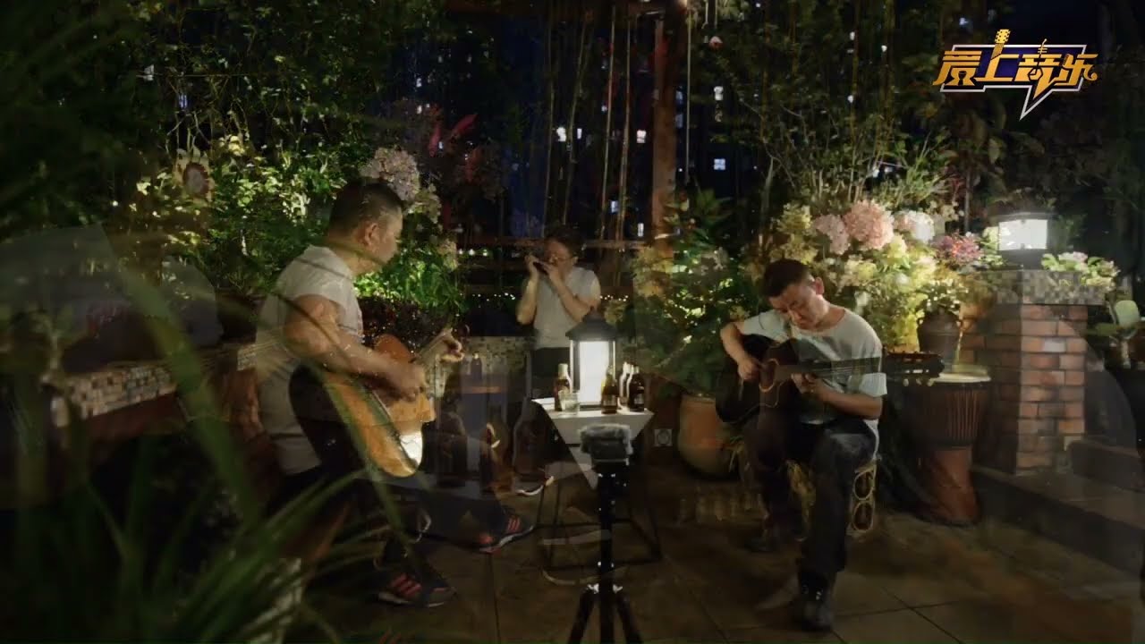 一首中国怀旧歌曲《往事只能回味》，口琴+吉他