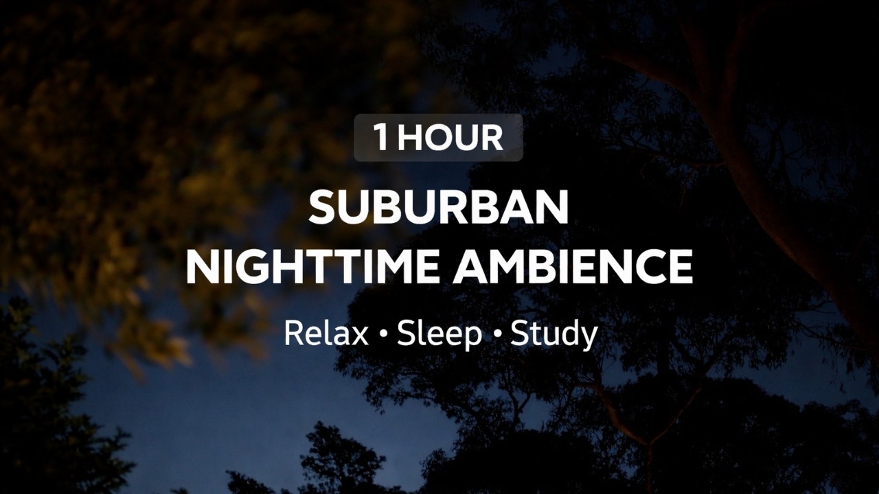 Nighttime Ambience || 1 Hour Relaxation, Meditation & Sleep Sounds