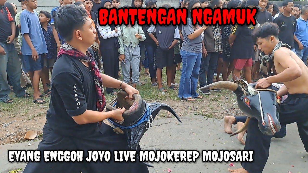BANTENGAN ‼️ EYANG ENGGOH JOYO LIVE MOJOKEREP MENANGGAL MOJOSARI