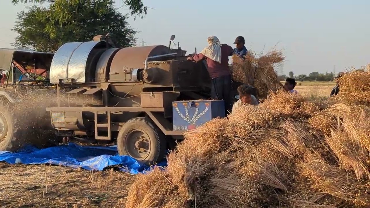 Chana Threshing