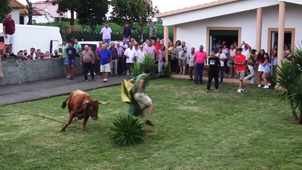 Tourada Areeiro - Touros ER - (405,412,404,429) - 2/8/2024 - Ilha Terceira - Açores