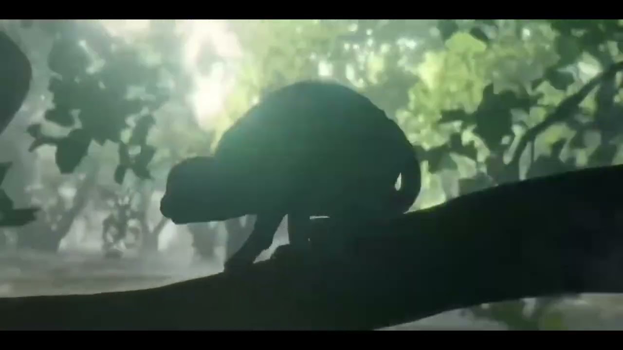 Flow - Flood Scene
