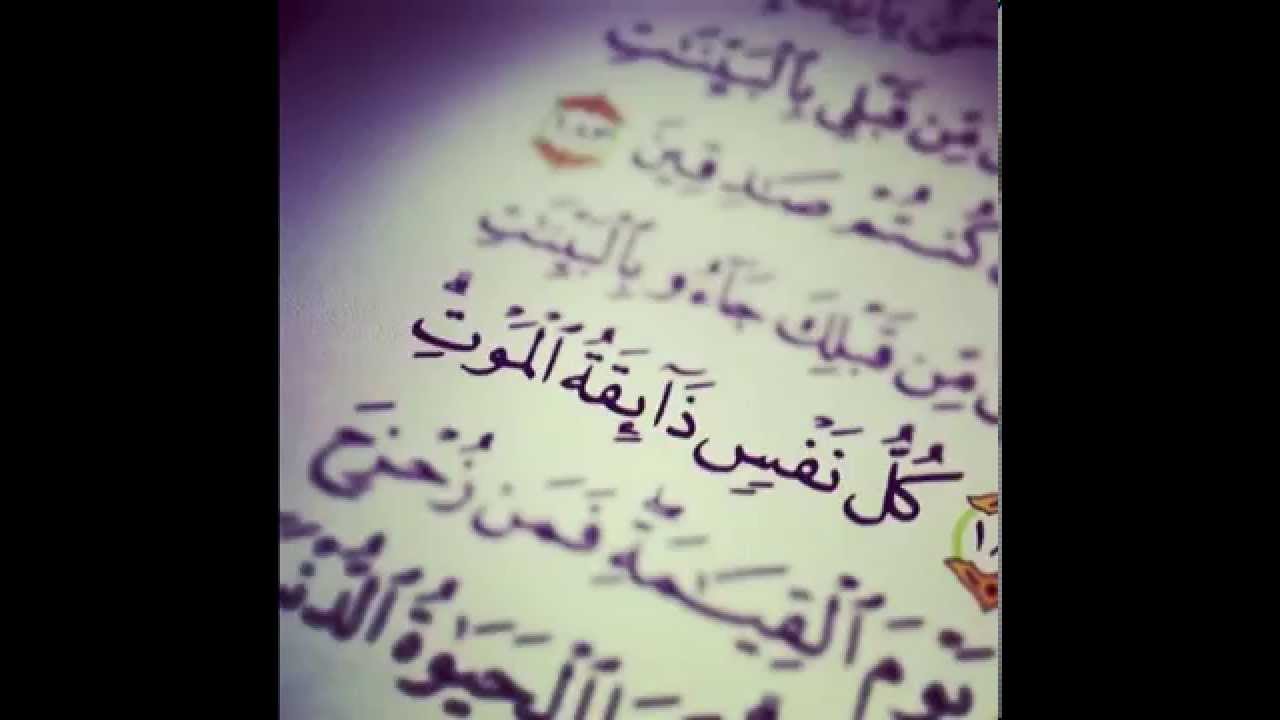 على فراش الموت || الشيخ إبراهيم الزيات