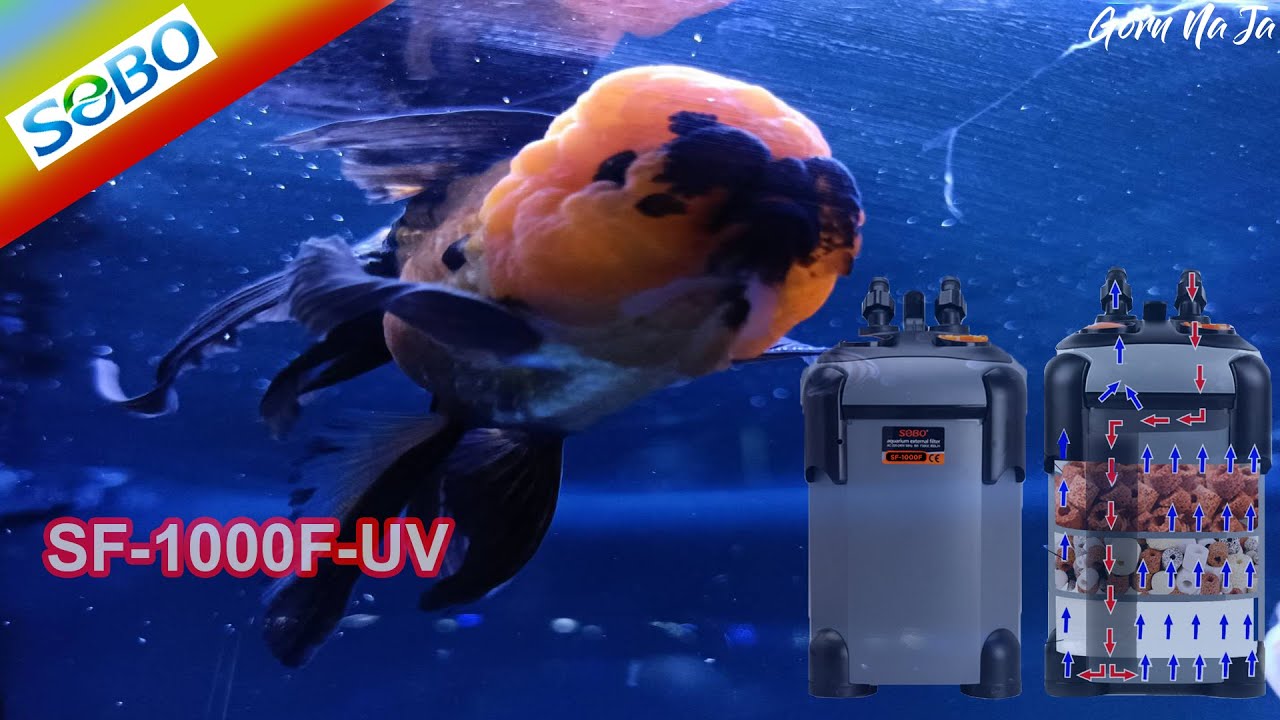 SOBO CANISTER FILTER SF-1000F-UV | กรองน้ำตู้ปลา | กรองนอก