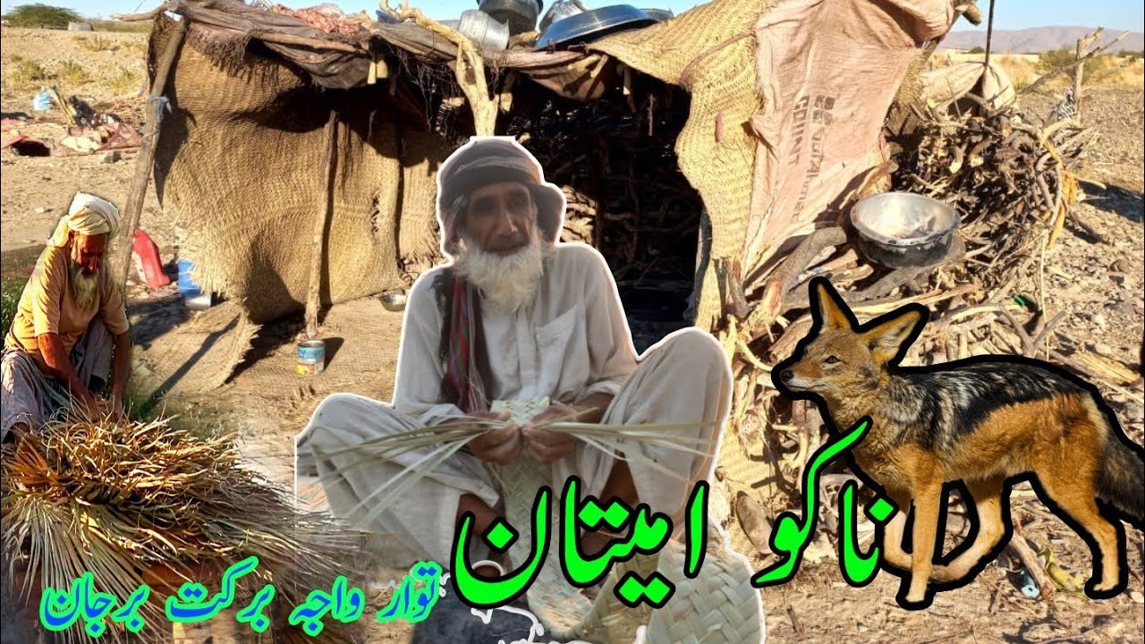 ناکو امیتان |چھارومی   بھر |توار واجہ برکت برجان بلوچ |Nako Omitaan Ep4  @BalochSach